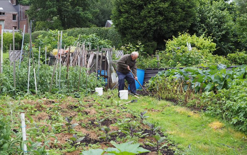 Liège va signer le pacte de Milan pour une politique de l’alimentation urbaine