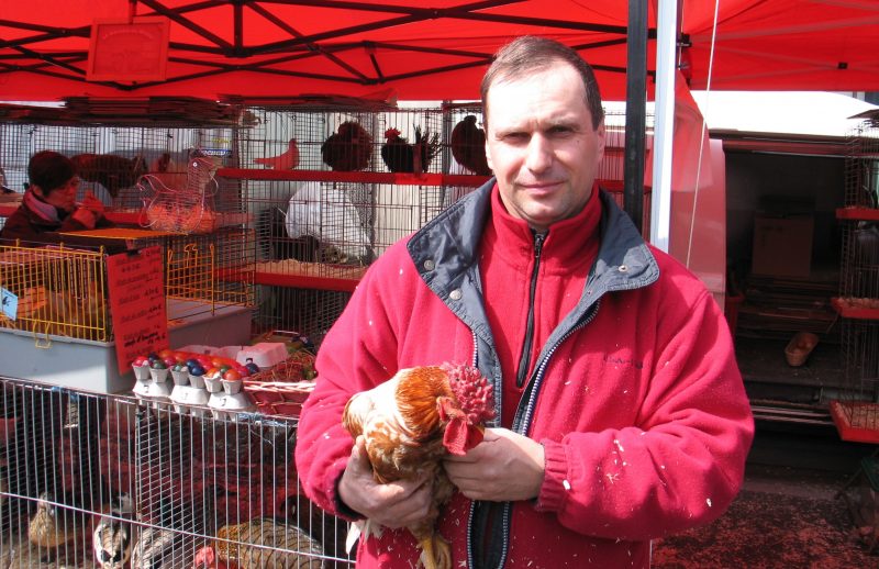 Ils sera bientôt interdit vendre ou exposer des animaux vivants sur la Batte
