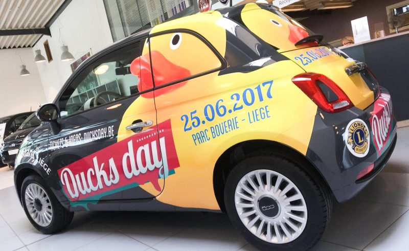Duck’s day: grande course de petits canards sur la Meuse pour gagner une Fiat 500