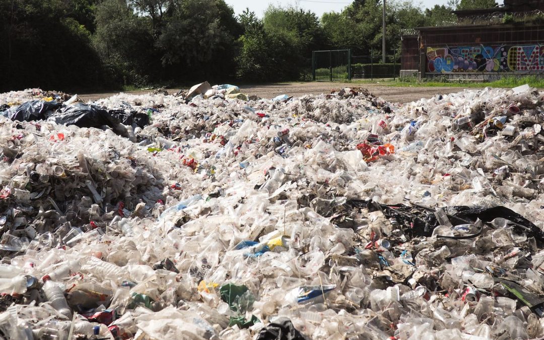 Une montagne de gobelets et de déchets: les restes des fêtes du 15 août
