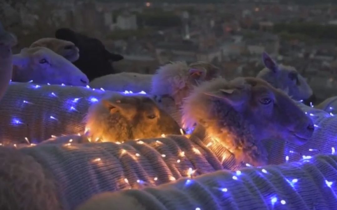 Les moutons lumineux de la Nocturne des Coteaux de la Citadelle en vidéo