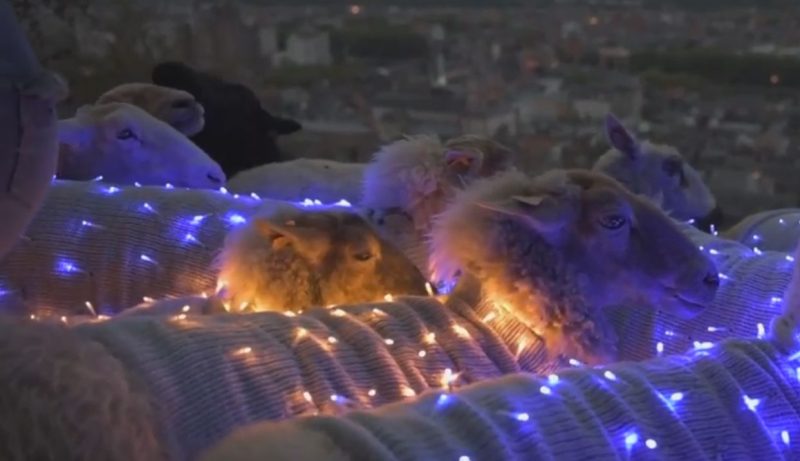 Les moutons lumineux de la Nocturne des Coteaux de la Citadelle en vidéo