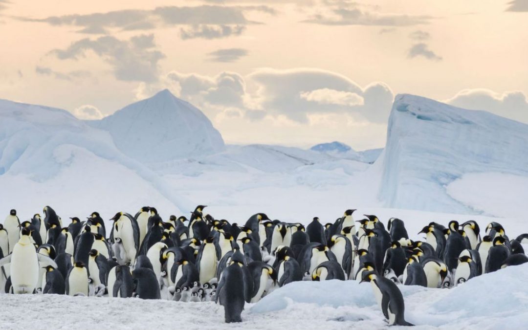 Festival de films dédié aux migrations et changements environnementaux