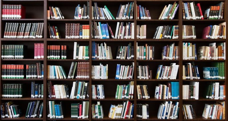 Les bibliothèques de la ville proposent désormais des liseuses numériques