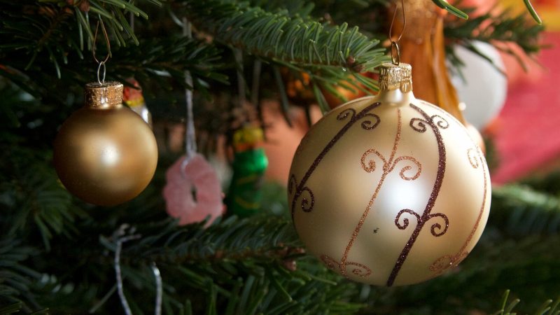 Récoltes des sapins avec les sacs jaunes pour en faire de l’engrais