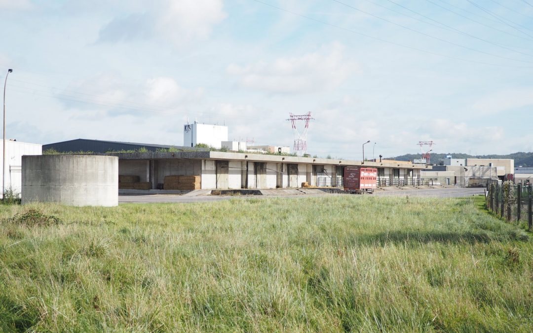 Le scandale Veviba profite à l’abattoir de Liège