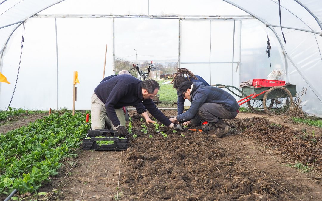 La Ville cherche des candidats pour développer une agriculture urbaine professionnelle