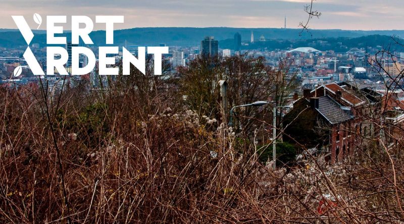 Le Parti Pirate quitte officiellement Vert Ardent: « pas assez ouvert aux citoyens »