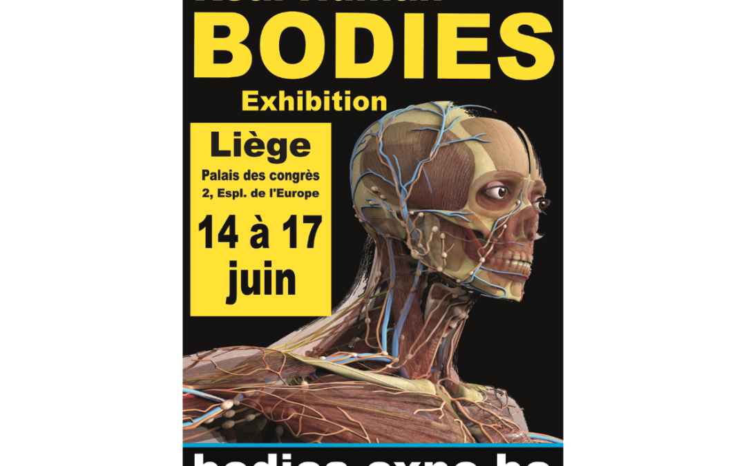 Agenda ► Human Bodies Exhibition Liege