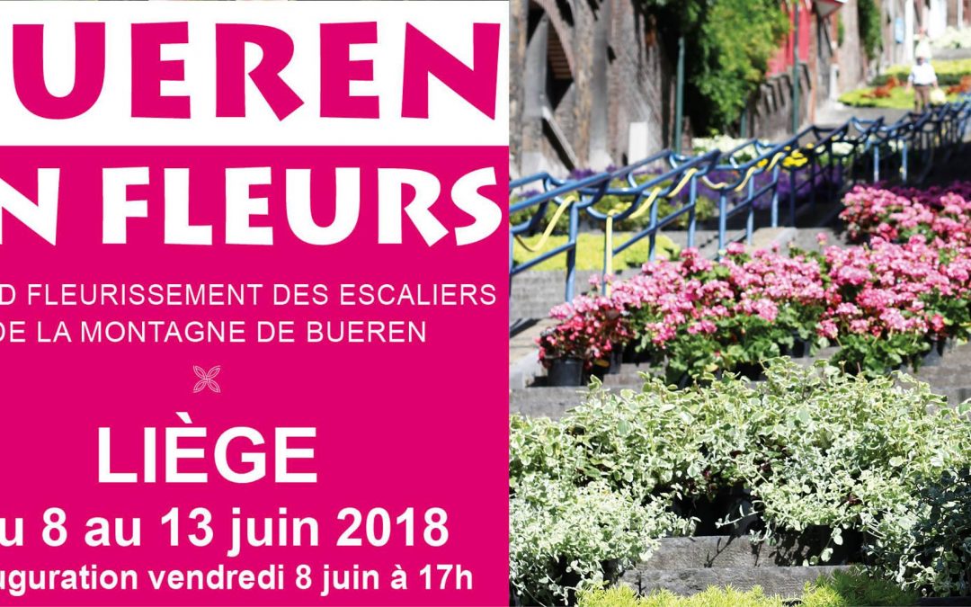 « Bueren en fleurs » : pour commémorer les 100 ans de la fin de la guerre 14/18.