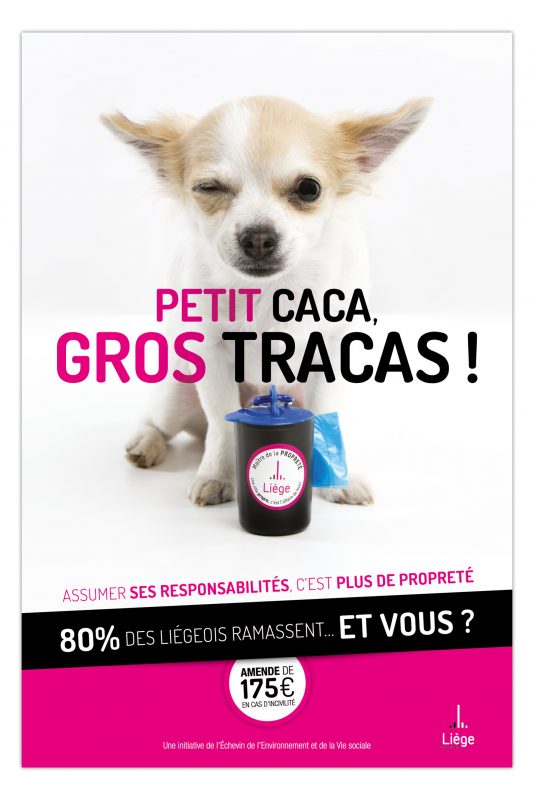 Petit caca, gros tracas : la nouvelle campagne de sensibilisation contre les déjections canines