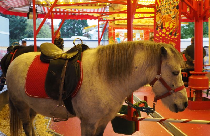 Fini les poneys sur la foire de Liège !