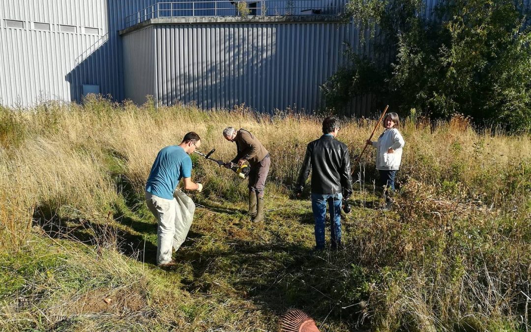 Un parc éphémère sur le site de l’ancienne tour Piedboeuf à Jupille pour sensibiliser au manque d’espaces verts