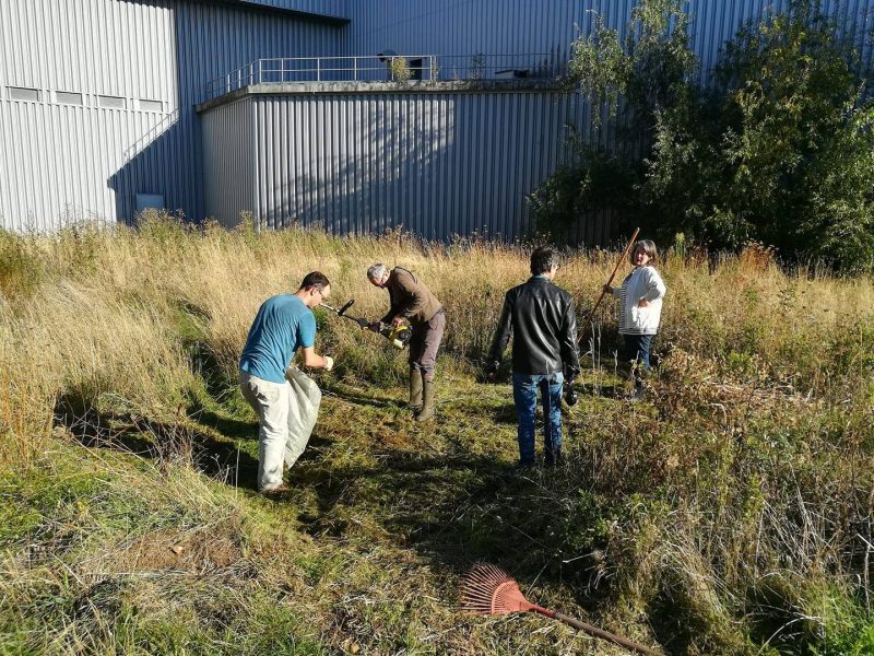 Un parc éphémère sur le site de l’ancienne tour Piedboeuf à Jupille pour sensibiliser au manque d’espaces verts