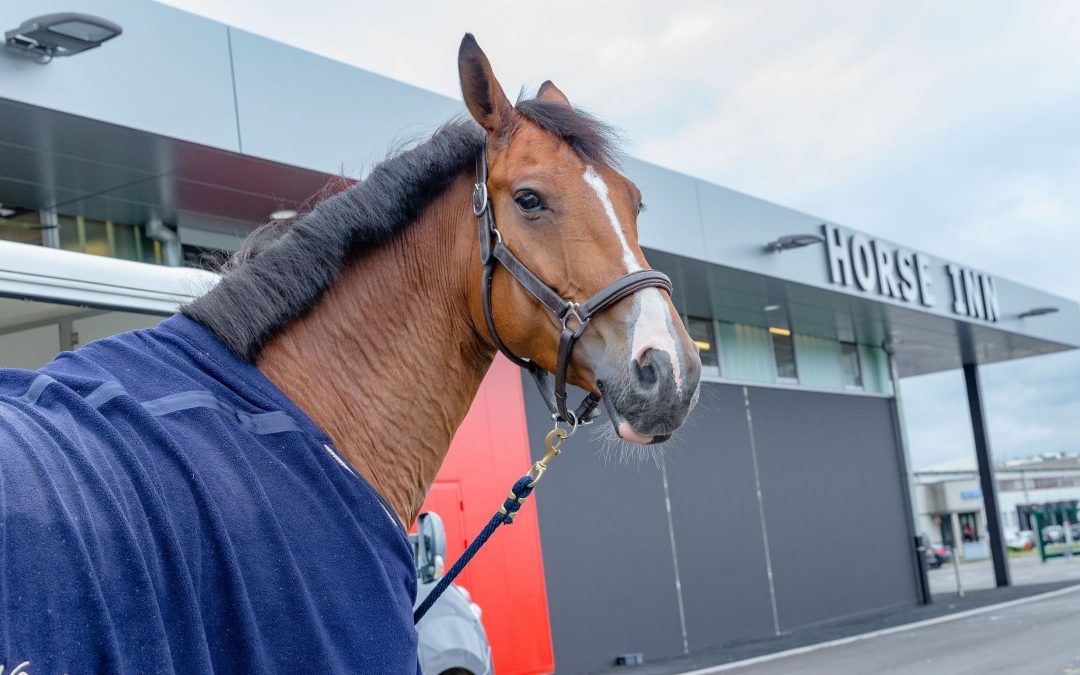 500 chevaux parmi les meilleurs mondiaux transitent à Liège Airport