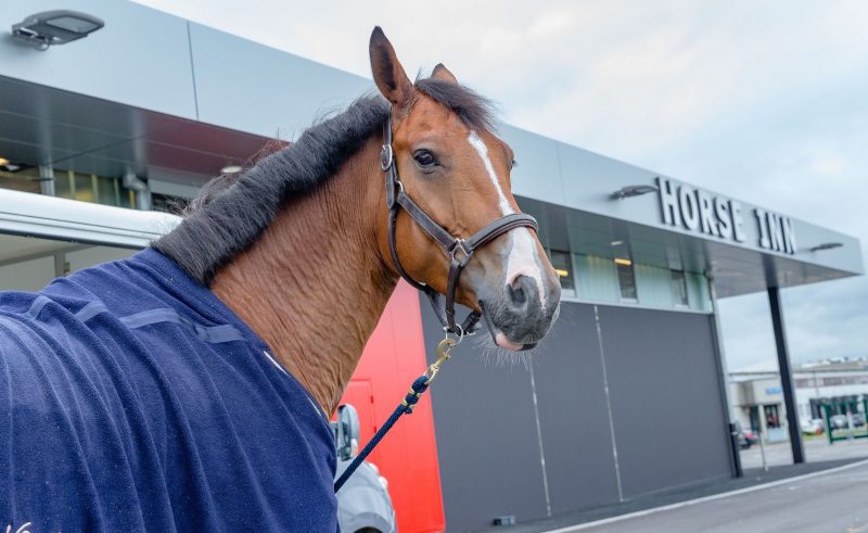 500 chevaux parmi les meilleurs mondiaux transitent à Liège Airport