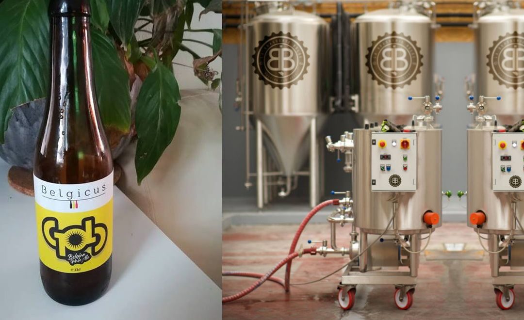 Belgicus: la nouvelle bière liégeoise à l’identité nationale
