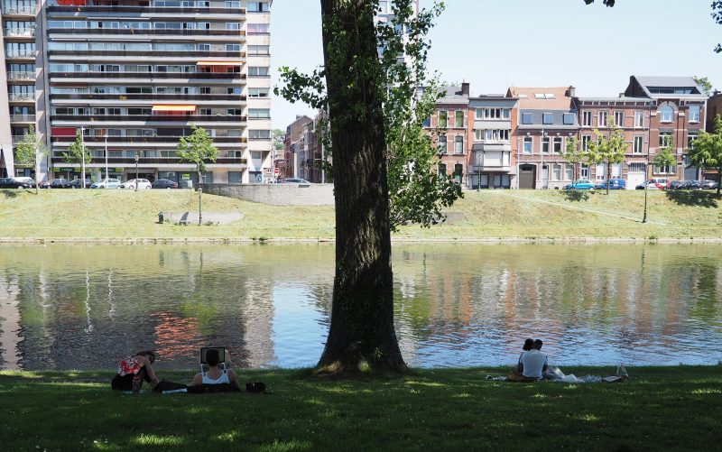 14 arbres abattus dans le parc de la Boverie