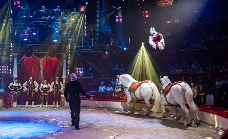 Le spectacle du cirque européen commence aujourd’hui boulevard d’Avroy pendant un mois