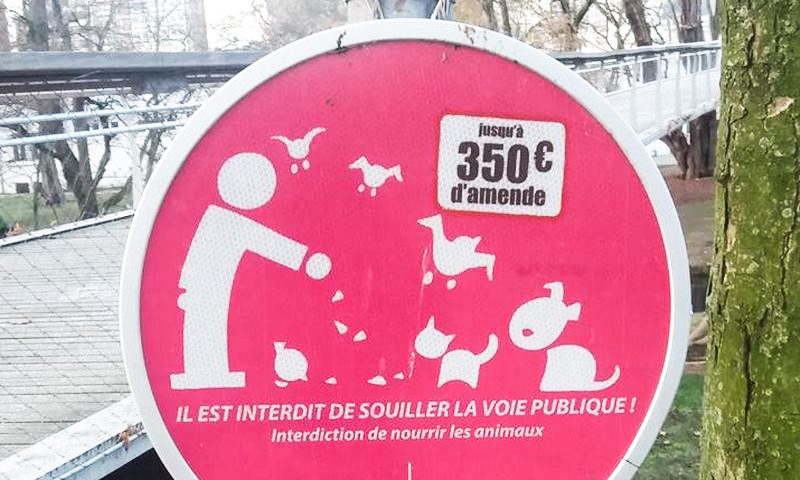 Nourrir les oies, lapins, pigeons… parc de la Boverie? C’est interdit!