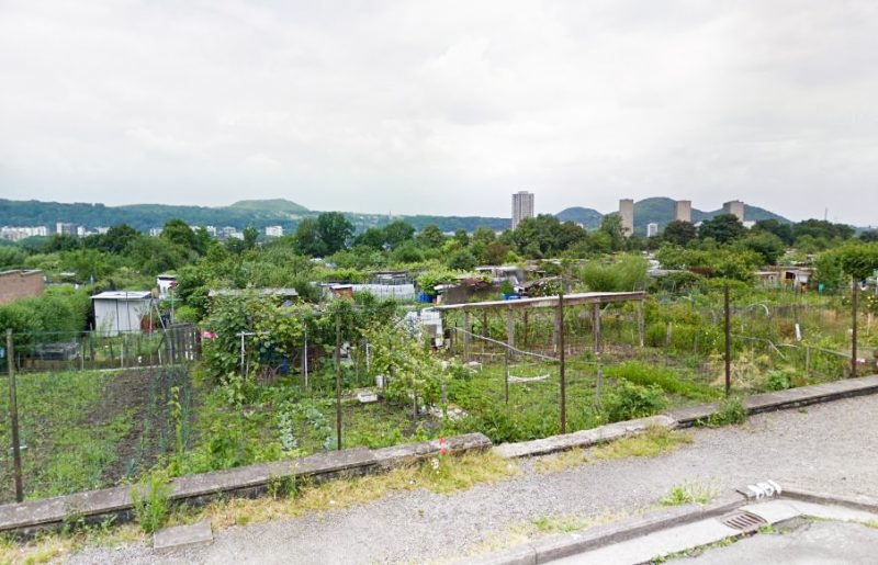 Potager de Bressoux: des jardiniers contaminés aux métaux lourds