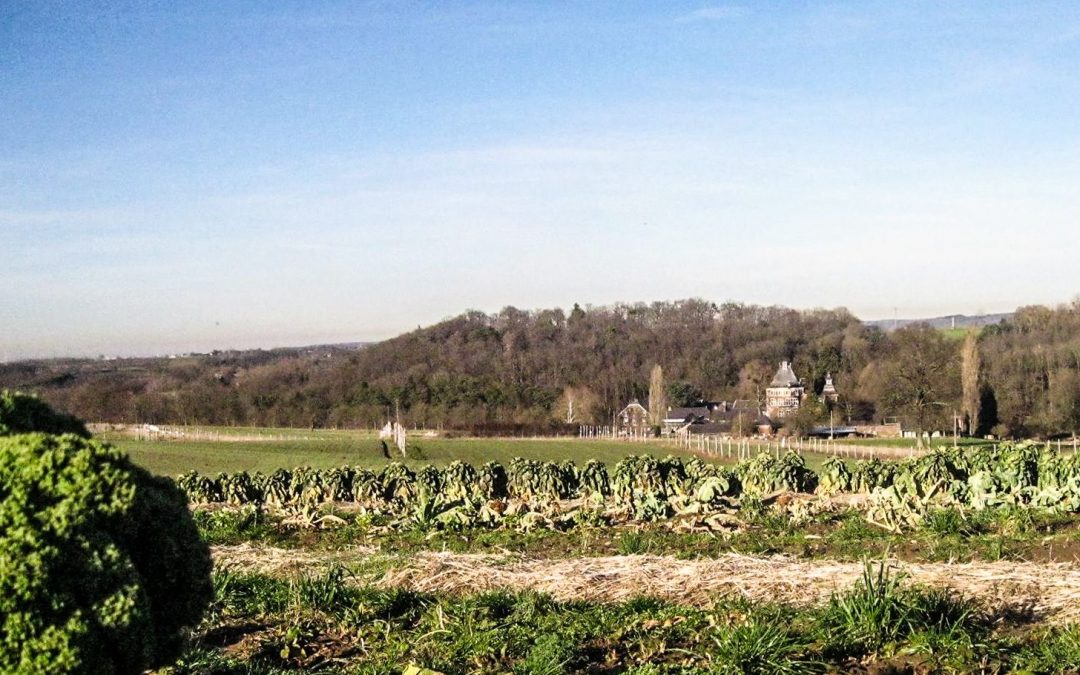 Fin de la coopérative Compagnons de la terre, qui fournit plusieurs magasins bio liégeois