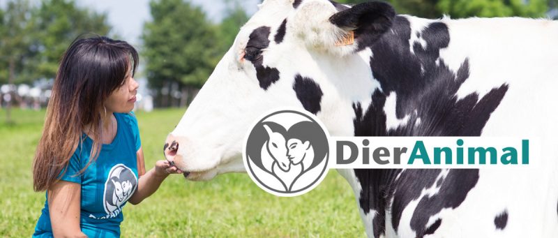 Le parti DierAnimal se présentera à  Liège