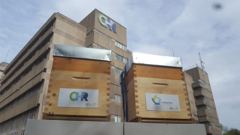 Installation de ruches sur le site du CHR de la Citadelle