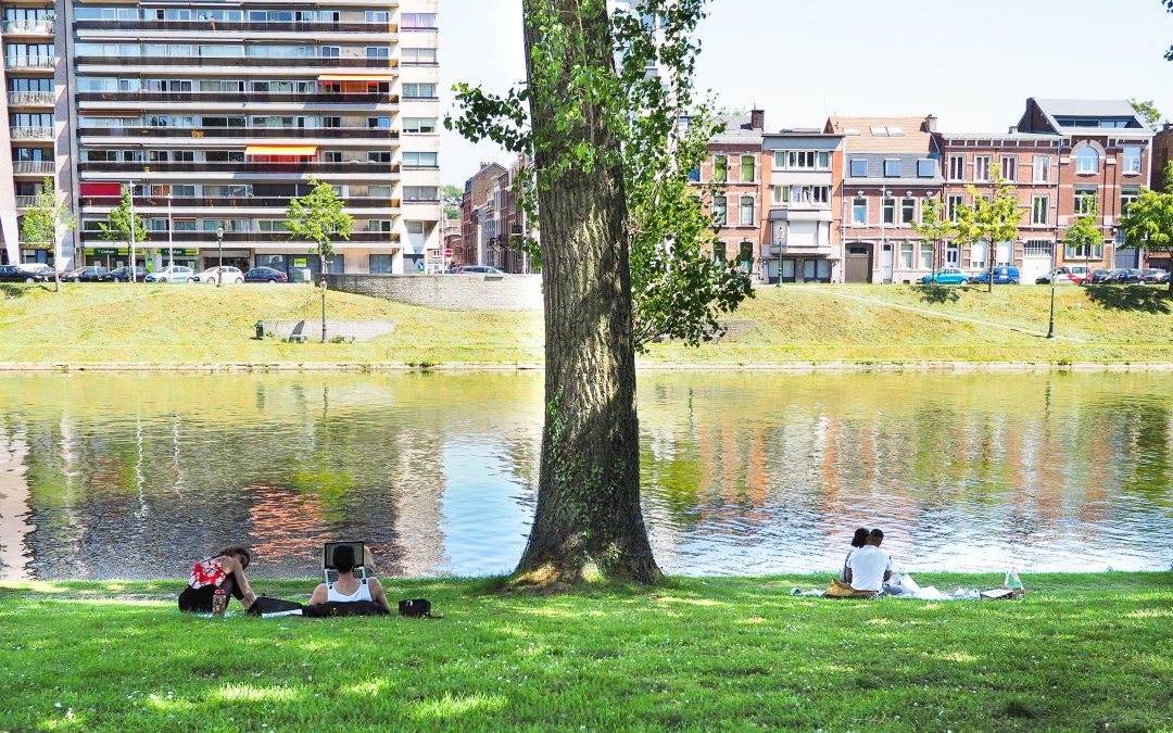 Assécher la Dérivation pour regagner des milliers de mètres carrés d’espaces verts ?