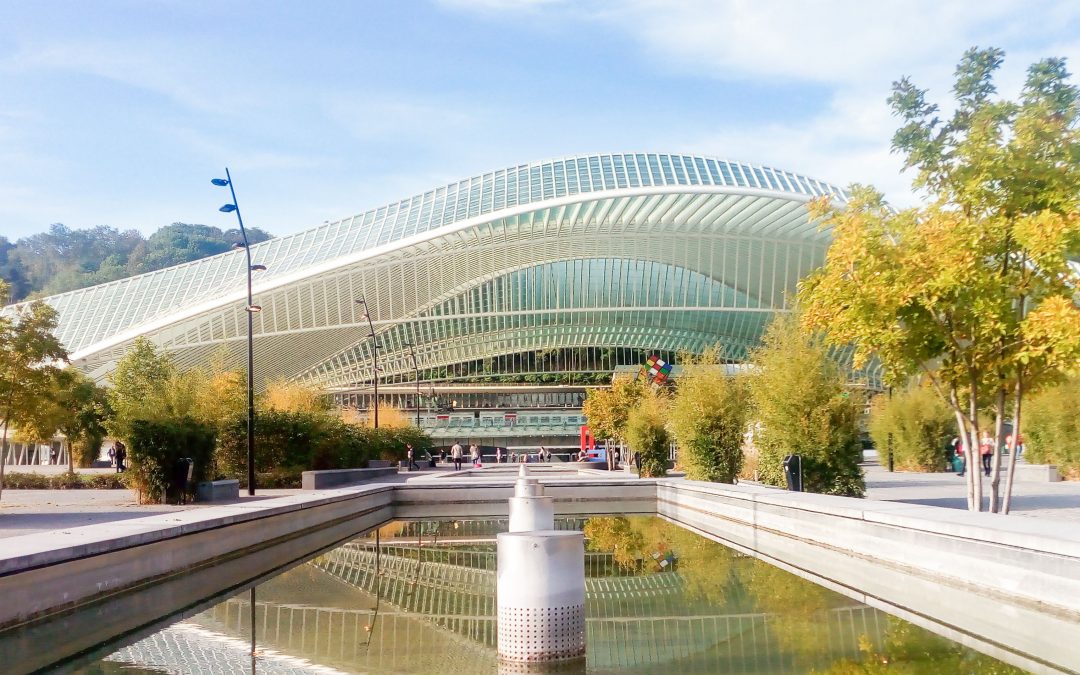 Les guichets de la gare des Guillemins en travaux