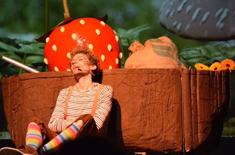 Une troupe liégeoise présente deux spectacles musicaux à Avignon cet été