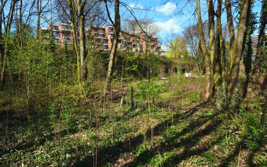 Projet d’habitat groupé intergénérationnel et participatif dans le Laveu