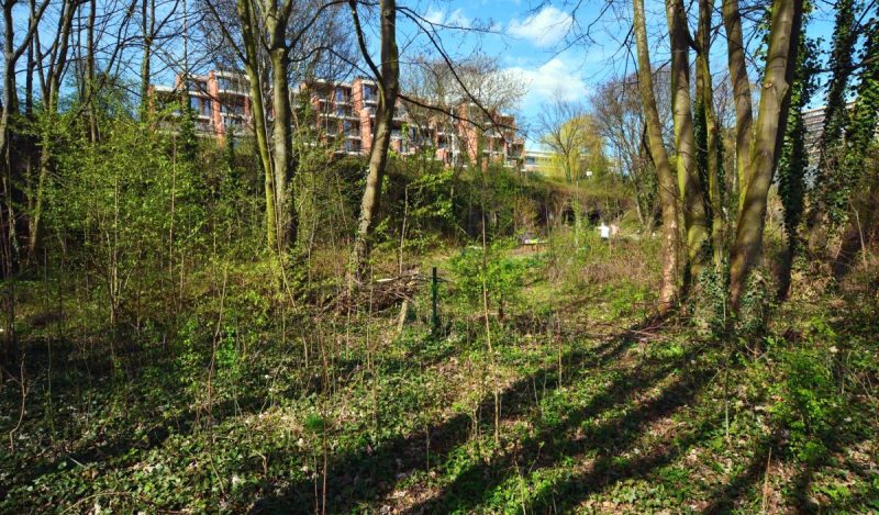 Projet d’habitat groupé intergénérationnel et participatif dans le Laveu