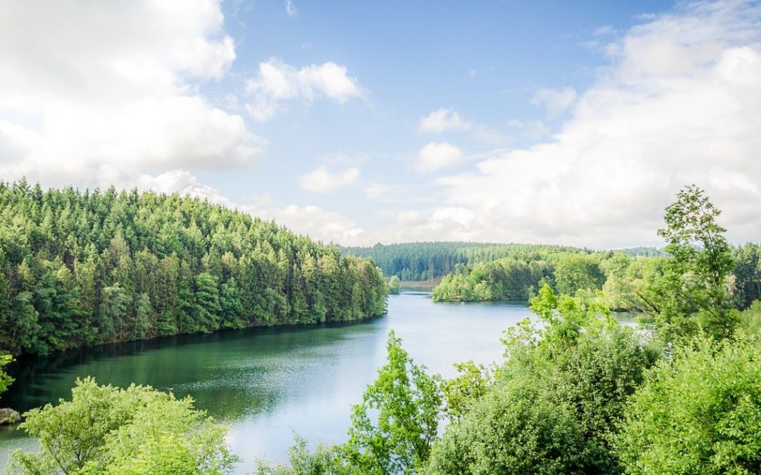 11 lieux de baignade extérieurs officiels pour profiter du soleil