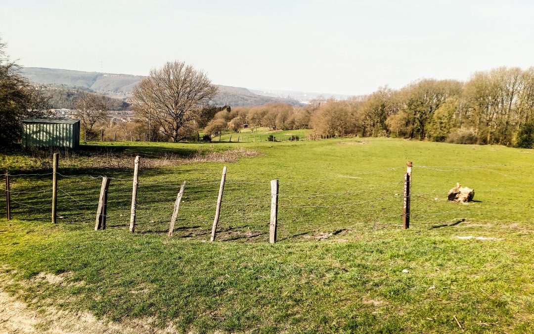 Vert Ardent demande un moratoire pour préserver les espaces verts à Liège