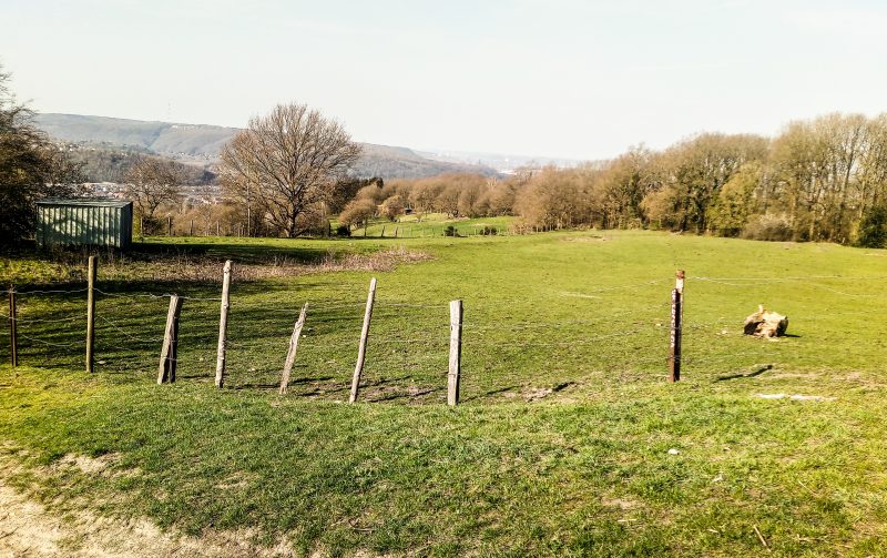 Vert Ardent demande un moratoire pour préserver les espaces verts à Liège