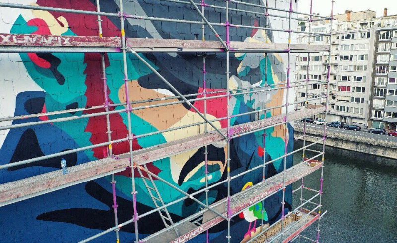 Une gigantesque oeuvre de street art avec un effet original  peinte sur deux immeubles du Longdoz