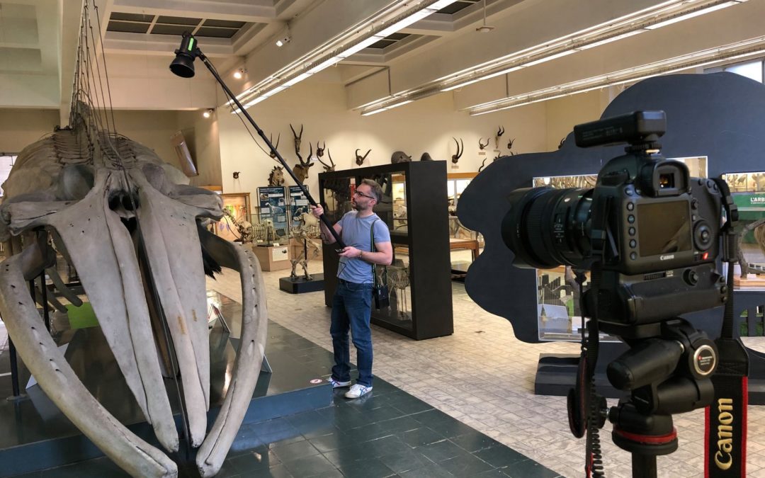 L’aquarium de Liège en réalité virtuelle