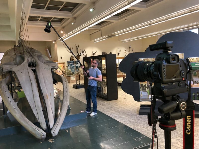 L’aquarium de Liège en réalité virtuelle