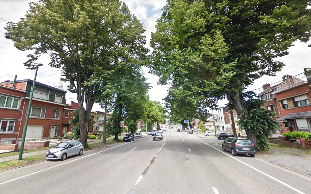 Les arbres du boulevard de l’Ourthe en sursis à cause des conditions de vent