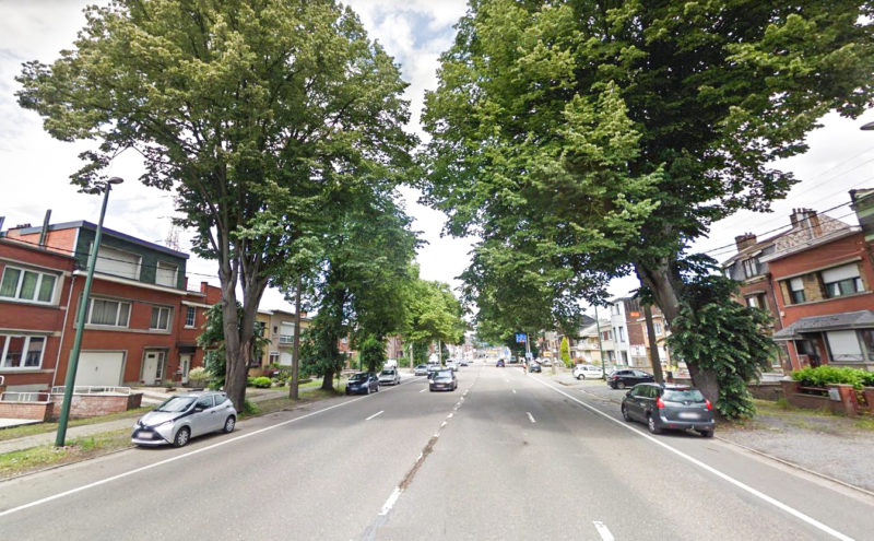 Les arbres du boulevard de l’Ourthe en sursis à cause des conditions de vent