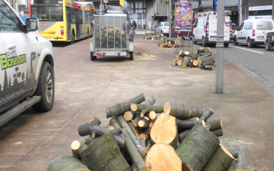 Plusieurs arbres du carrefour Pont d’Avroy ont été abattus