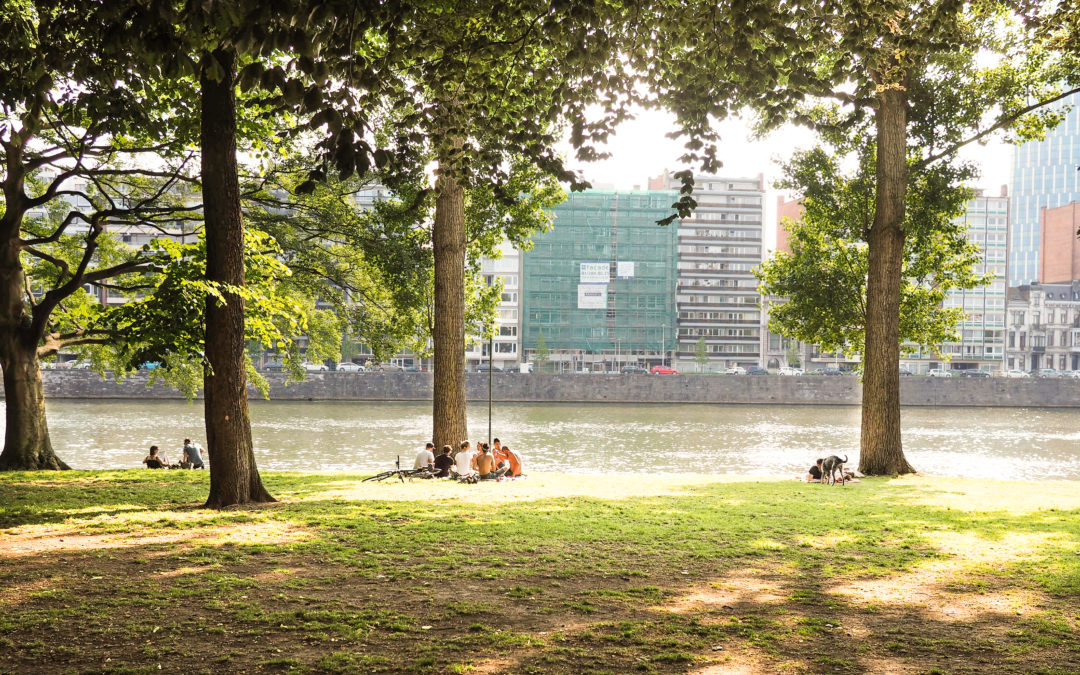 La Ville interdit l’arrêt et le stationnement des piétons qui se baladent dans les parcs