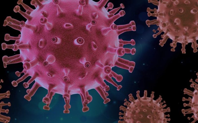 Les tests sérologiques de ZenTech pour le Covid-19 validés par l’agence fédérale des médicaments