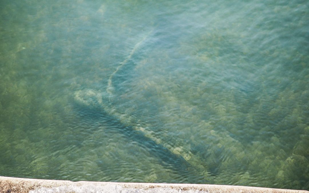 La Meuse plus transparente dévoile les trottinettes électriques jetées à l’eau
