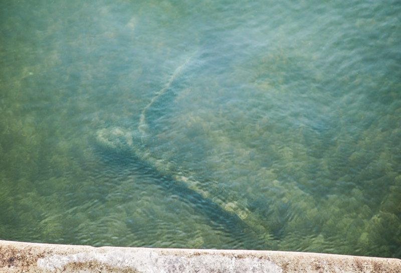 La Meuse plus transparente dévoile les trottinettes électriques jetées à l’eau
