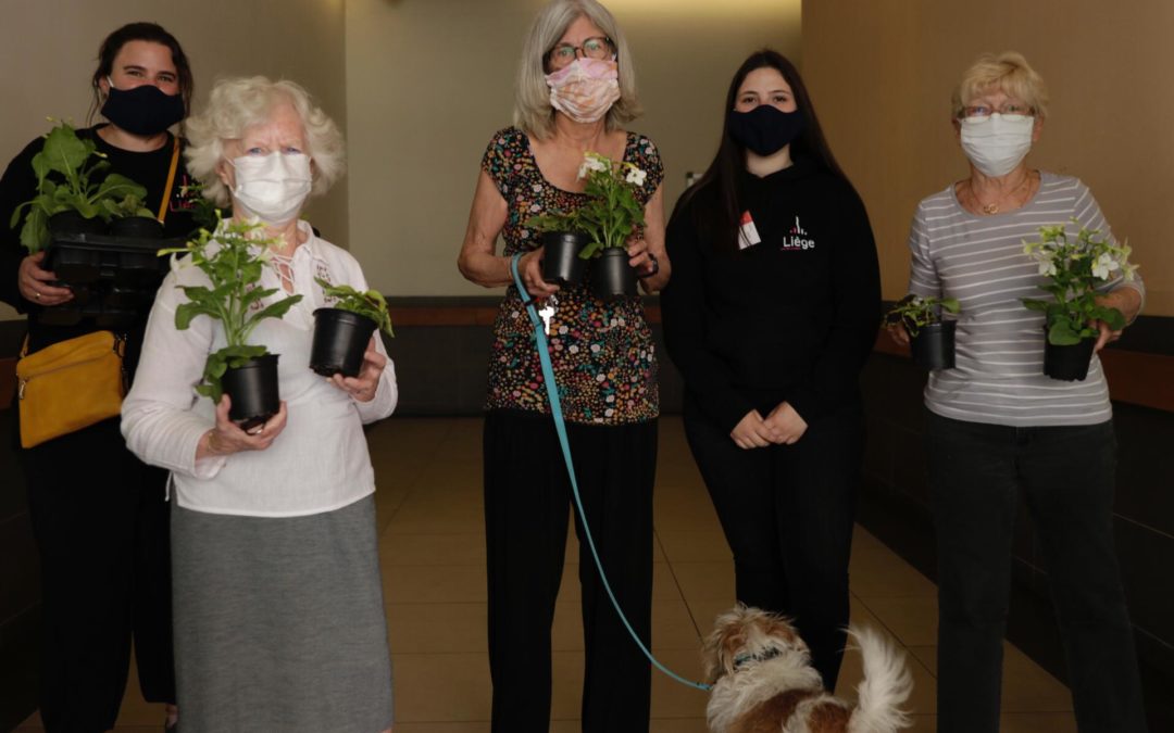 Les plantes destinées à l’édition 2020 de « Bueren en fleurs » données aux seniors à l’occasion de la fête des mères