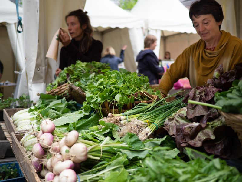 Le marché des producteurs locaux redémarre aujourd’hui place Xavier-Neujean