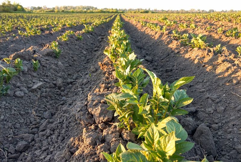 16% des fermes de la province de Liège ont opté pour le bio dont le succès se confirme