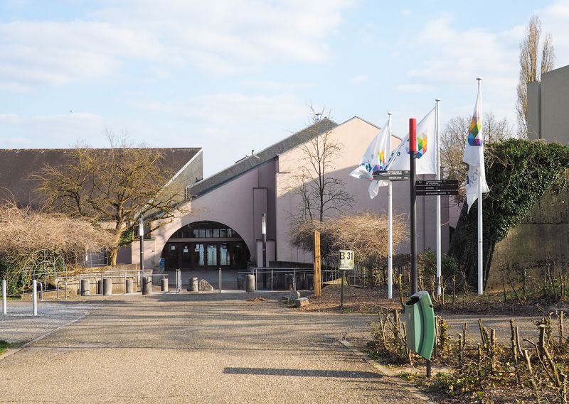 Difficile session d’examens à l’ULiège: la vice-rectrice dénonce des réseaux de triche